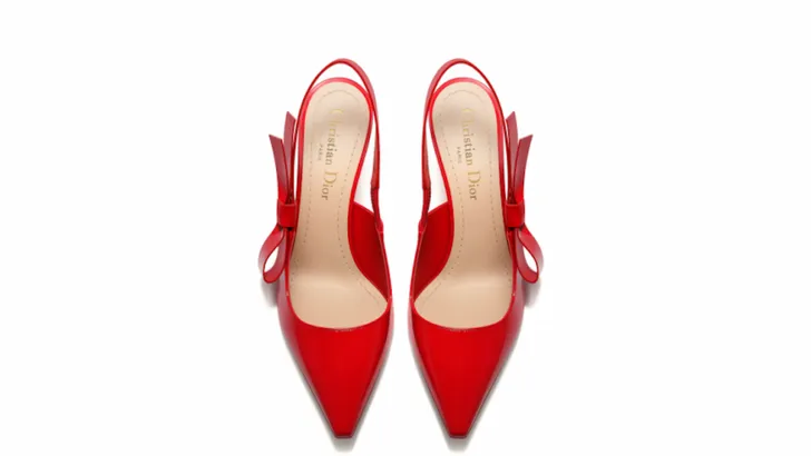 Deze Dior pump is de zomerschoen van 2017