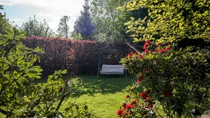 Tuin