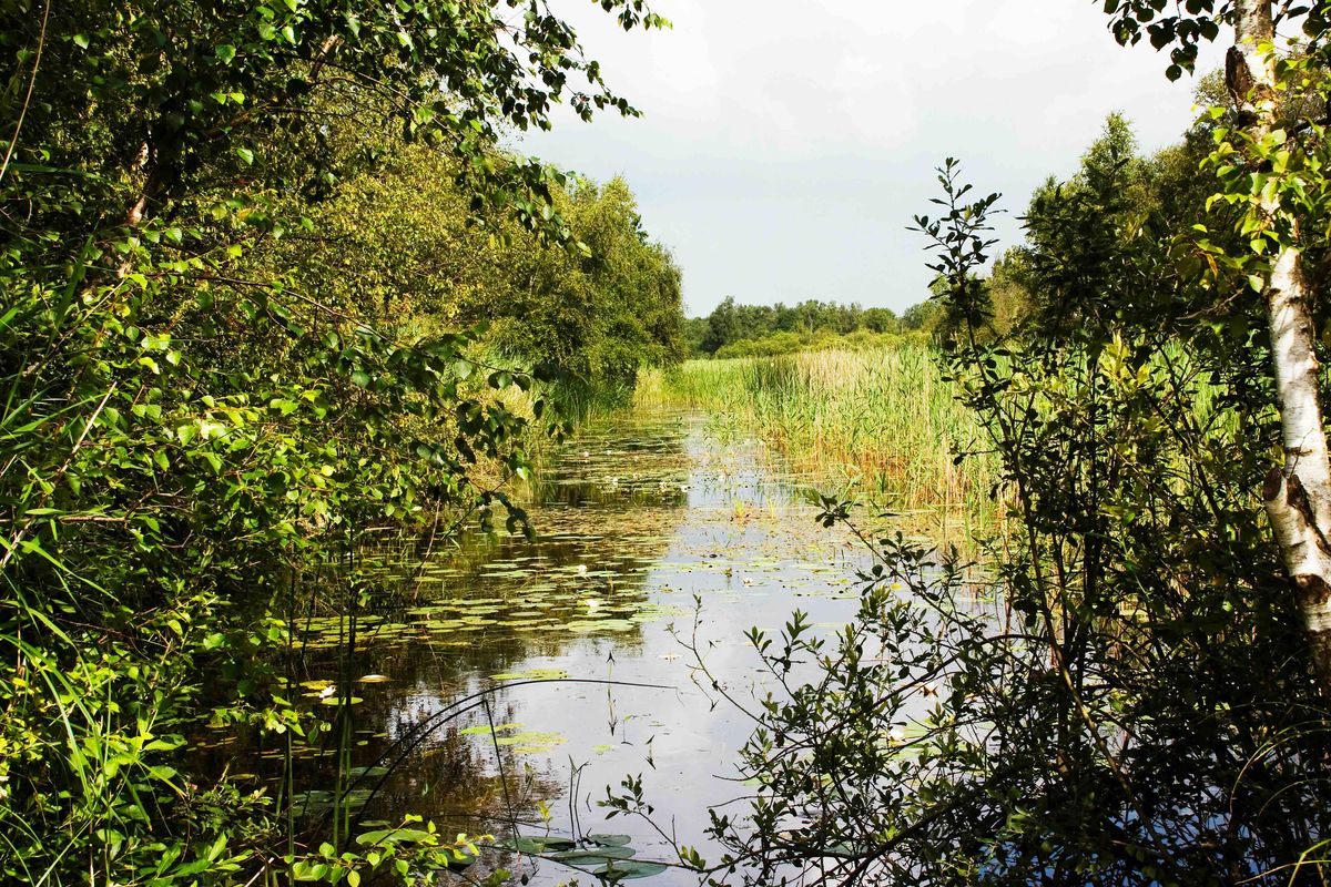 Ontdek de Twijzelermieden: een goed bewaard geheim in Friesland