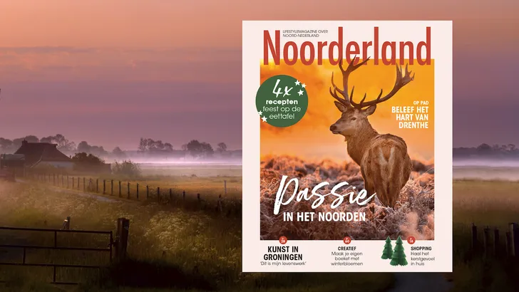 Noorderland nr. 8 2021