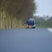 Wildaanrijdingen