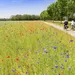 Friesland