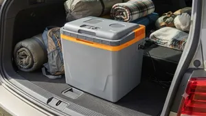 De koelbox van Lidl is deze zomer de beste budget-keuze voor vakantiegangers