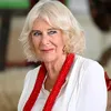 Dít is waarom koningin Camilla niet in de familie-groepsapp zit | Beau Monde