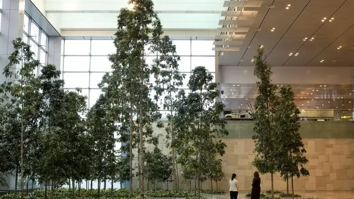 10 x waarom Changi Airport in Singapore de beste luchthaven ter wereld is