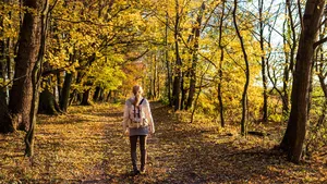 Wandelen voor beginners: een mini-masterclass