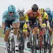 waaieralarm in gent-wevelgem