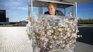Kees van der Spek