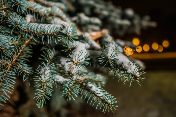 Kerstwinkels
