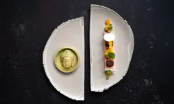 NOVO New Dining