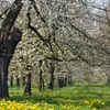 5 tips om de natuur te beleven in het voorjaar | Noorderland