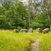 Drenthe