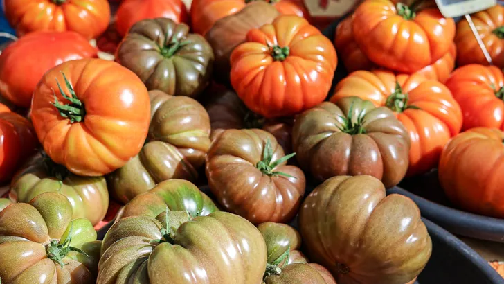 Zit er echt nicotine in tomaten? Waarom deze virale TikTok-trend verrassend deels waar is