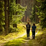 Spring walk in the green forest