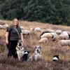 Op pad met een jonge Drentse herder: 'Mensen verwachten een oude man met een baard' | Noorderland