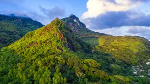 Waarom de Seychellen bovenaan je travel bucketlist horen: Dit kun je er allemaal doen