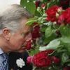 De vroegere tuinman van koning Charles onthult zijn geheim voor prachtige rozen in het voorjaar | Nouveau
