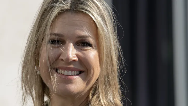 Love the Look: Máxima in een glitterjurk