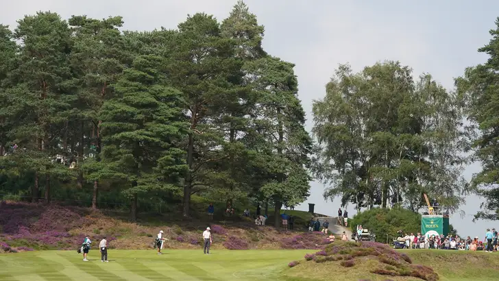Sunningdale Lafeber