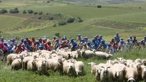 Vandaag een rustdag in de Ronde van Italië