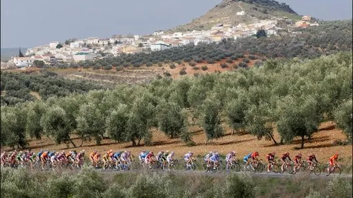 Ronde van Colombia: ritwinst voor Ojeda