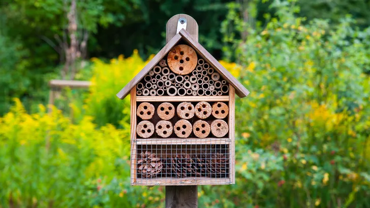 Insectenhotel