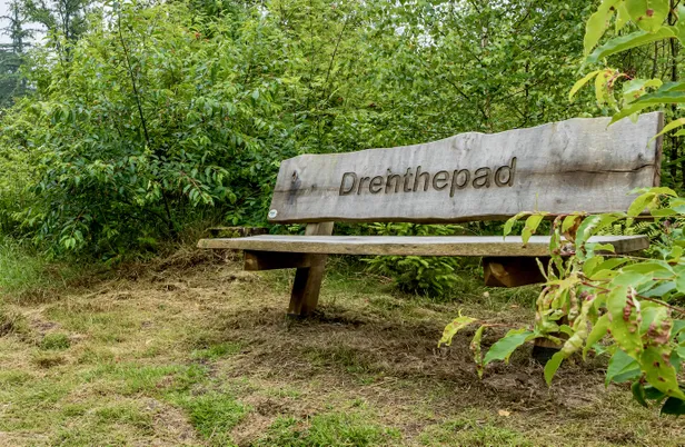 Drenthepad