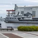 U-81