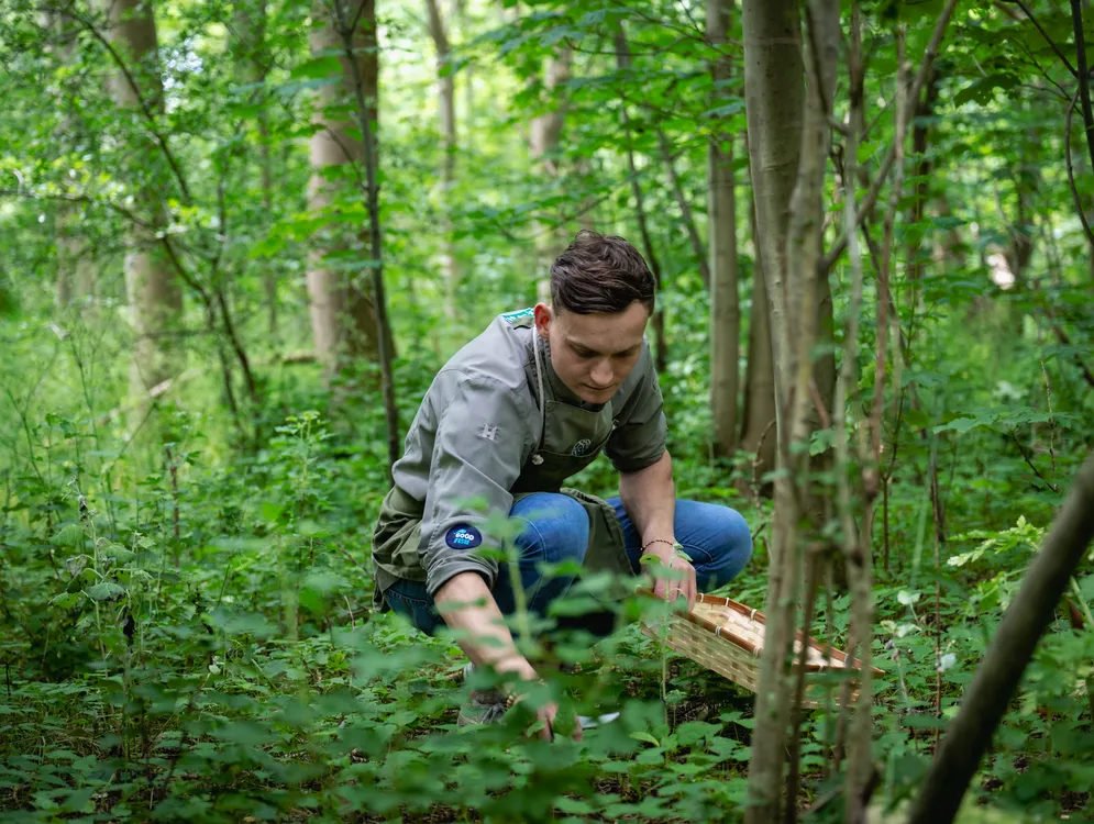 Foto 9 van Restaurant Morille