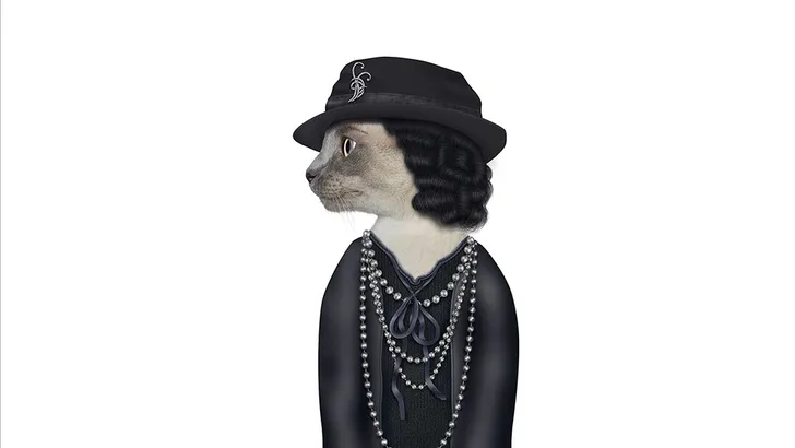 Pets Rock - zó heb je Coco Chanel nog nooit gezien!