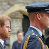 Ai: koning Charles schuift Harry's militaire titel door naar William