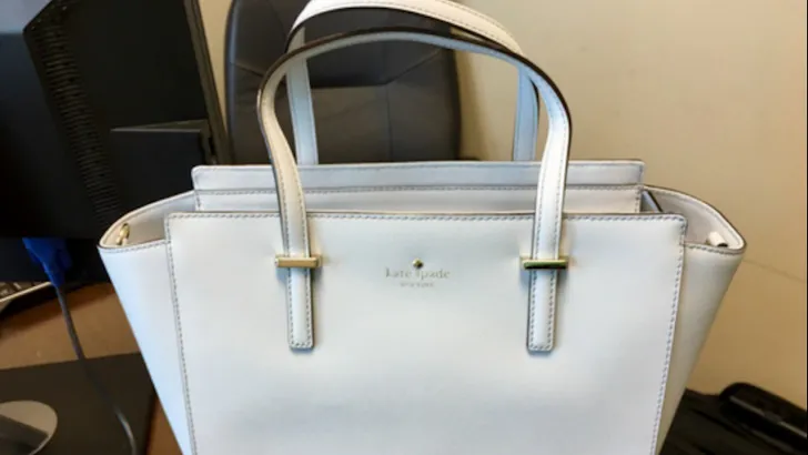 Het internet gaat los: welke kleur heeft deze tas?!