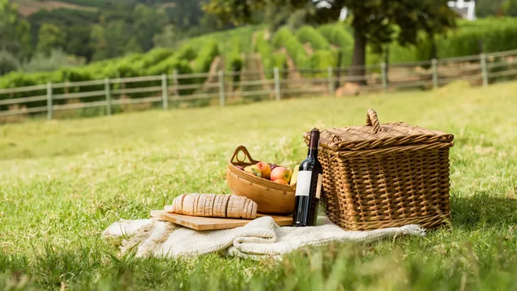 Ga lekker picknicken in een wijngaard
