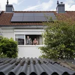 Zonnepanelen