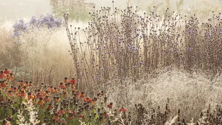 Inspirerende expositie over droomtuinen!