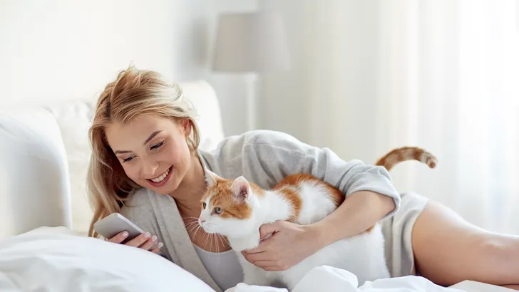 Waarom je je kat nooit mee in bed moet nemen
