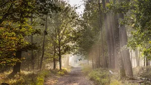 Kroondomein Het Loo is weer open: 3 highlights