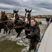 Ameland