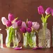 Tulpen