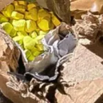 Succesvol HARP-team van politie, douane en OM pakken steeds vaker drugssmokkelaars