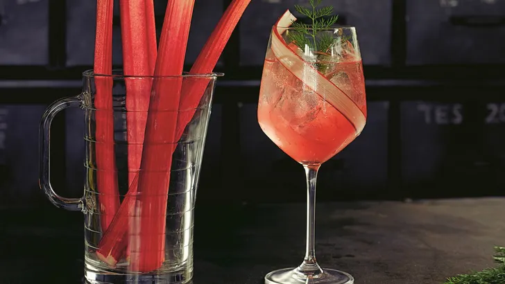 Vrijmibo cocktail Rhubarb & Dill Spritz