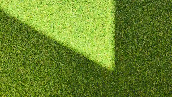 Nooit meer je gazon maaien met kunstgras!