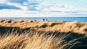 duinen wandeling wandelen