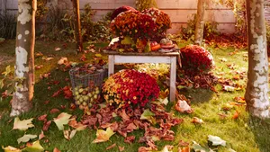 chrysanten herfst 