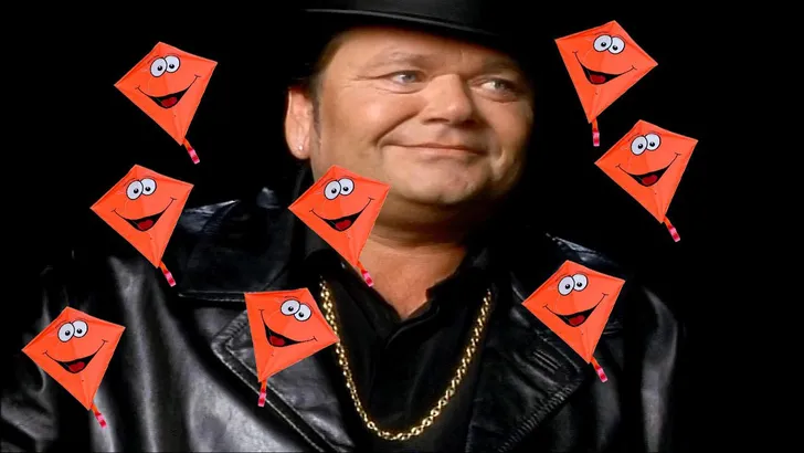 de vlieger