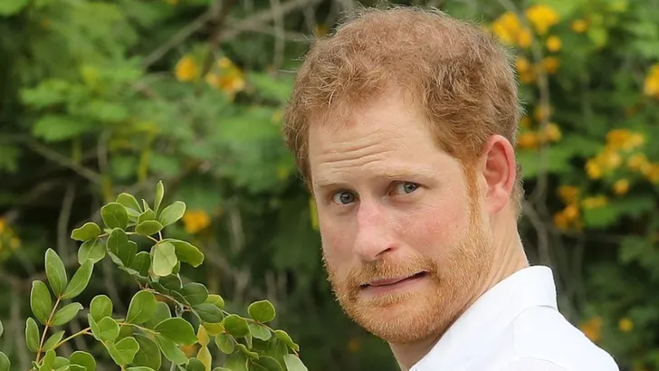 Prins Harry: booty call op kosten van de belastingbetaler?