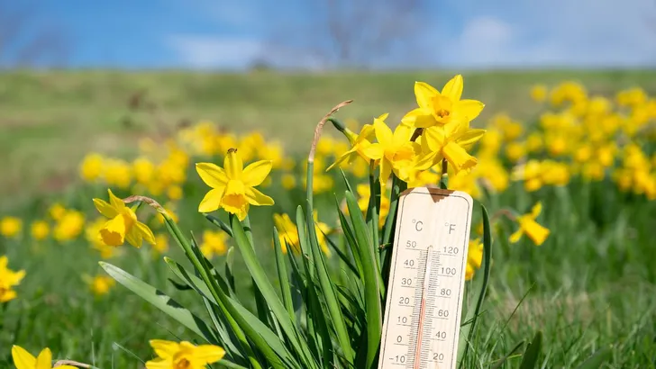 Het wordt warm dit weekend.