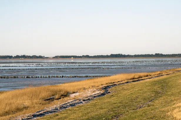 Deense Waddenzee