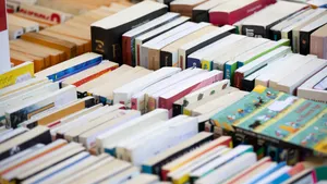 Rows of secondhand books outside a bookshop in Paris