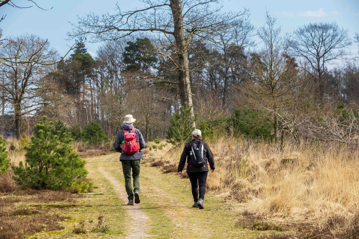 Dit zijn ze: de 3 mooiste winterse wandelroutes in Noord-Nederland